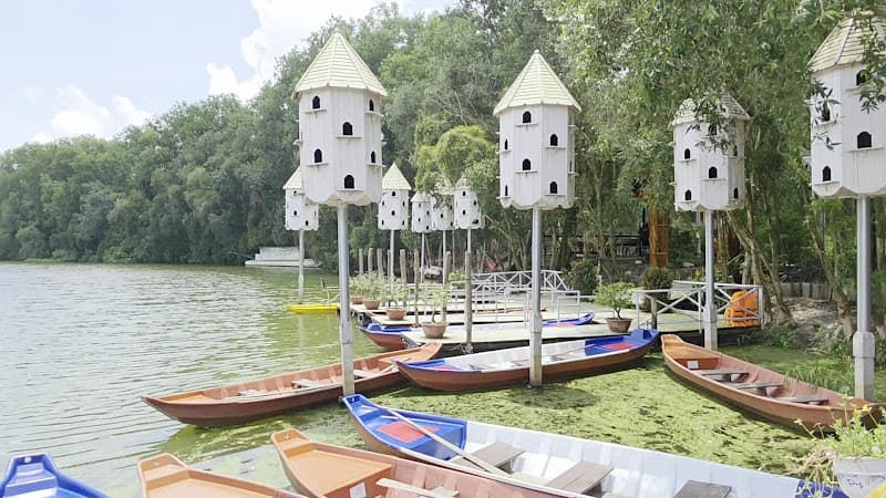 Hình ảnh Điểm tham quan khu bảo tồn Đồng Tháp Mười - 4