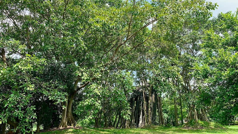 Ảnh bìa Khu di tích Quốc gia đặc biệt Tân Trào