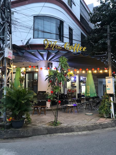 Ảnh bìa Miu Coffee hay ngồi