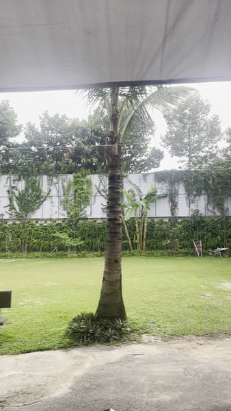 Hình ảnh MINH KHANG Pickleball - 11