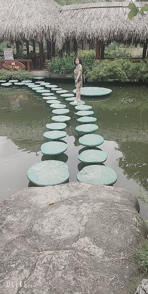 Ảnh bìa Trại mèo Cần Thơ - Chescy House