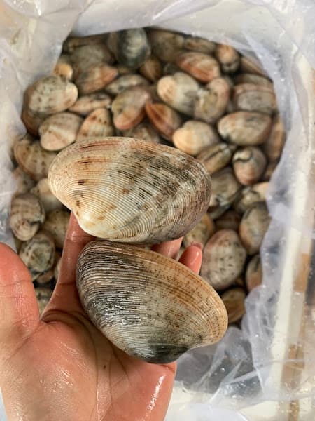 Hình ảnh Hải sản uy tín kiên giang - Hải Sản Xanh - 2