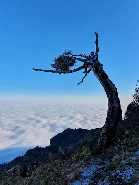 Hình ảnh Núi Lảo Thẩn - 3