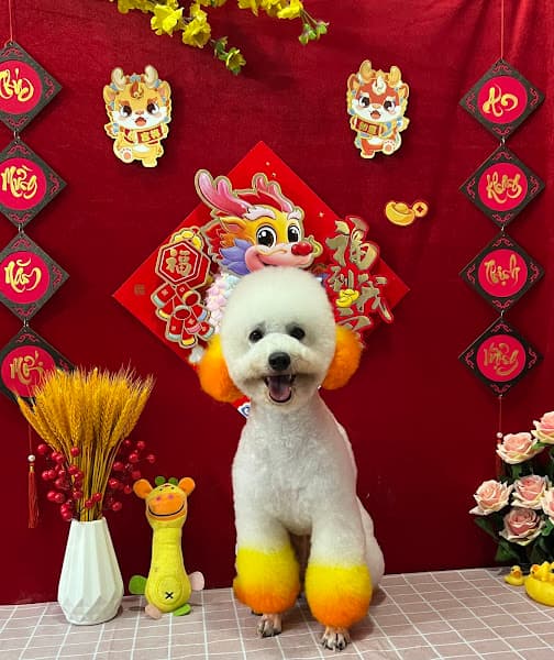 Hình ảnh Châu Đốc Pet Spa - cắt tỉa lông thú cưng - 2