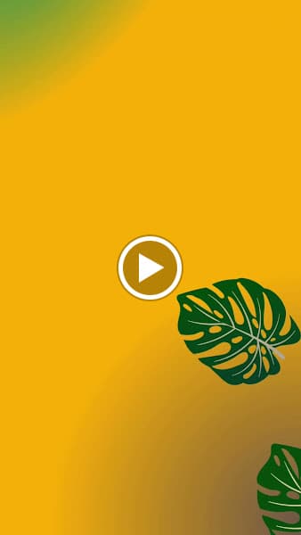 Hình ảnh Bánh xèo giòn - 2