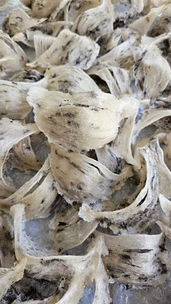 Hình ảnh Yến sào Hải Thụy - 2