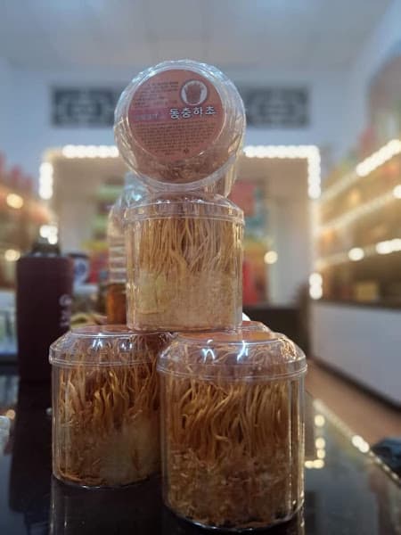 Hình ảnh Yến sào-Sâm nấm ThuGiang Agassi - 4