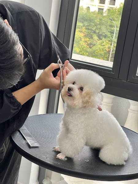 Hình ảnh Sâu's Mate Land Pet Service - 4