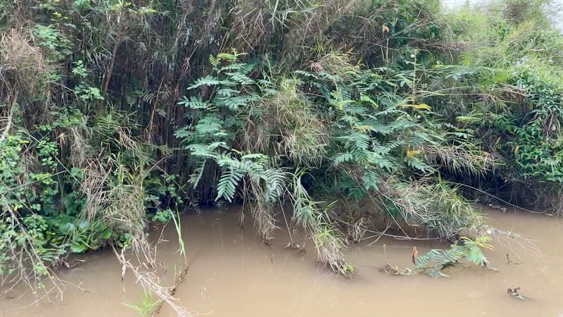 Hình ảnh Khu du lịch sinh thái Động Thiên Hà - 6