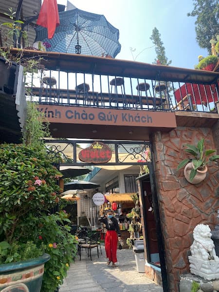 Cà Phê Không Gian Xanh VIOLET