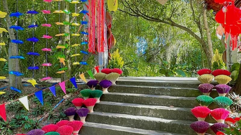 Ảnh bìa Điểm tham quan khu bảo tồn Đồng Tháp Mười