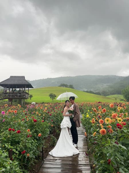 Hình ảnh The Florest Hoa Trong Rừng - 3