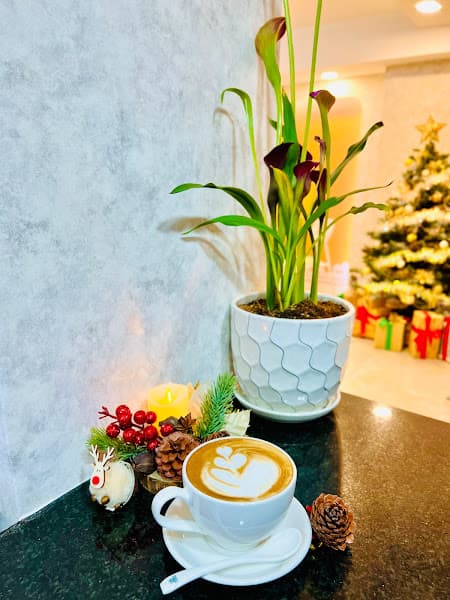 Hình ảnh Nón coffee & more - 4