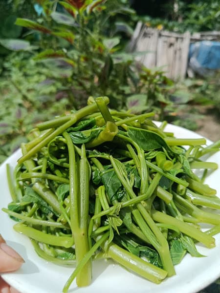 Hình ảnh Trà Sữa Sơn Giang - 3