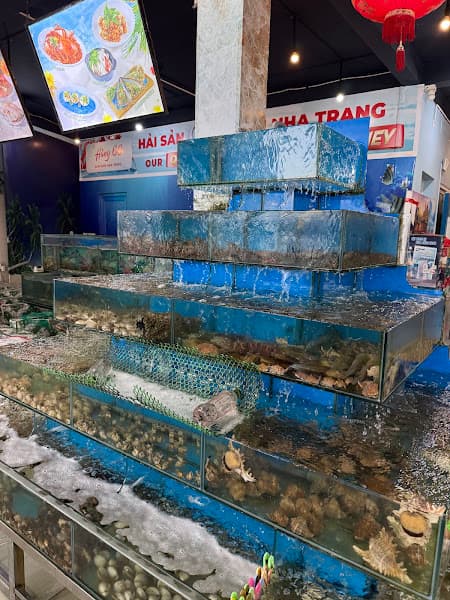 Hình ảnh Nhà Hàng Hải Sản Hằng 66 - 3