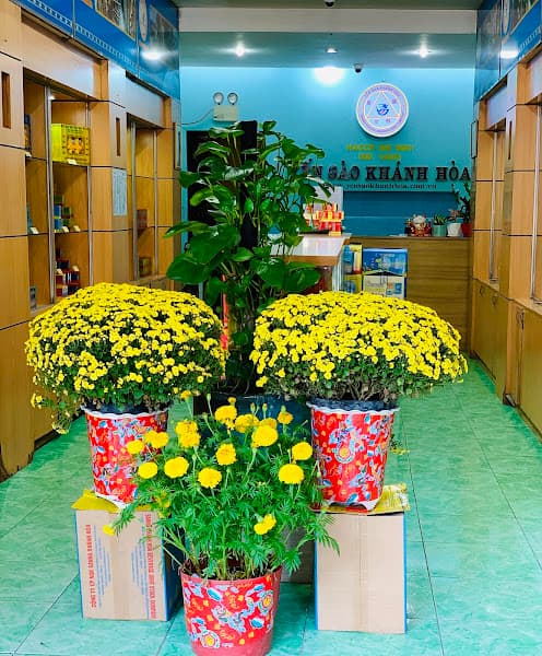 Hình ảnh Cửa hàng Yến Sào Khánh Hòa 862 Trần Hưng Đạo - 4