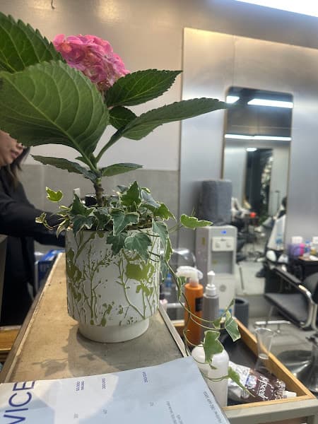 Hình ảnh Zio Hair - 3