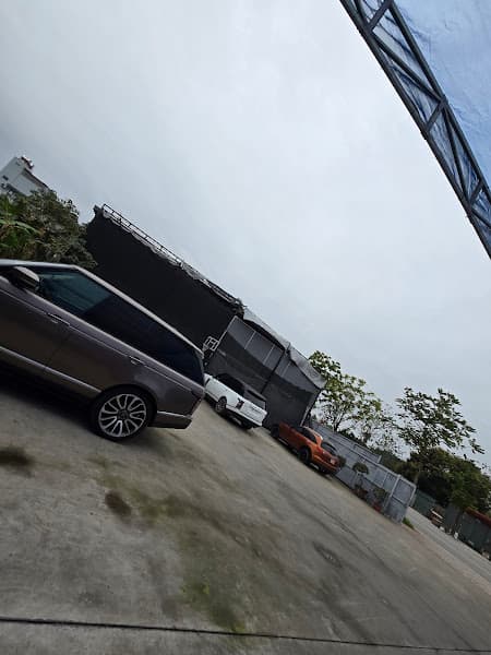 Hình ảnh Pickleball 68 - 5