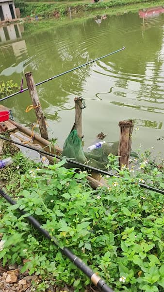 Hình ảnh Hồ câu bể bơi Hồng Anh - 5