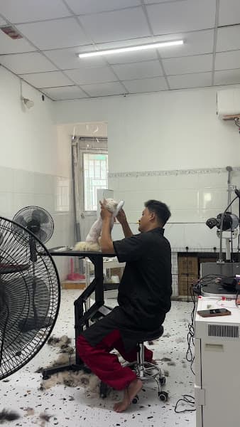 Hình ảnh RITDO PET SPA & GROOMING ACADEMY - 4