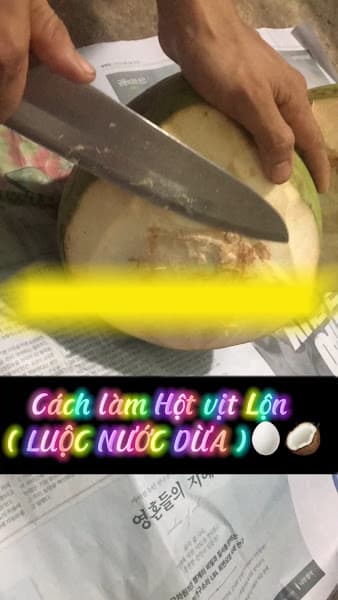 Hình ảnh HỘT VỊT LỘN CÔ TIÊN-NƯỚC ÉP-SINH TỐ- TRÁI CÂY DĨA-SIRO - 3