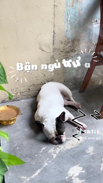 Hình ảnh Lonely Bean - Cà phê thủ công - 2