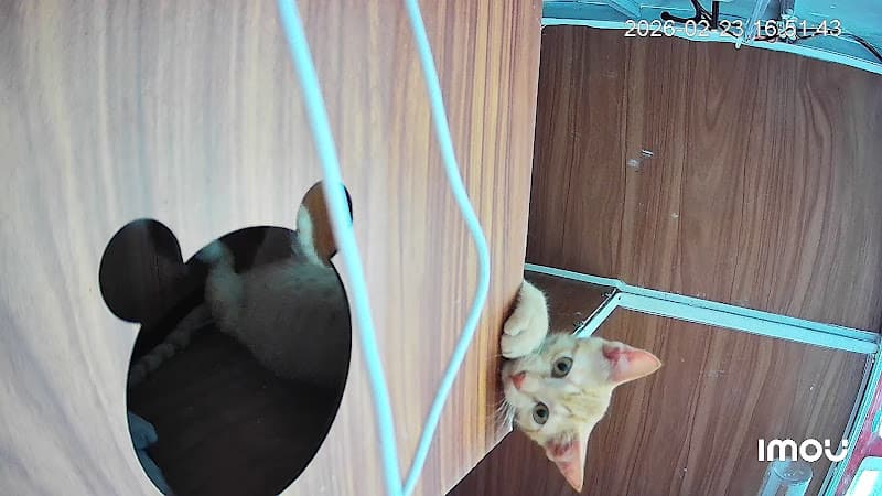 Hình ảnh VIBA - Spa Pet Shop - 3