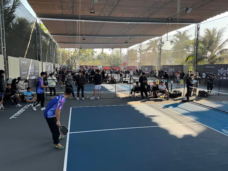 Ảnh bìa Pickleball Nam Phong