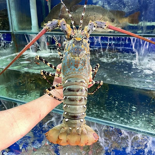 Hình ảnh Hải Sản 59 Yên Đỗ - 3