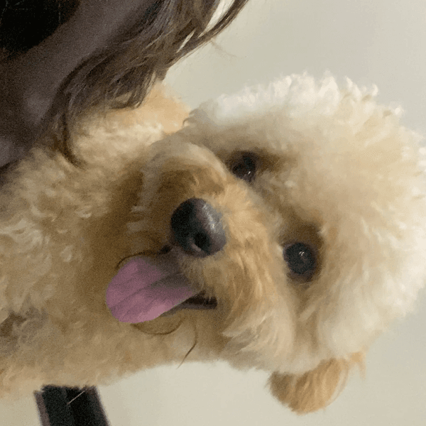 Hình ảnh Bệnh viện thú y EraVet - 3