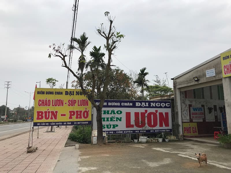 Hình ảnh Đại Ngọc Cháo Lươn - Miến Lươn - Súp Lươn - 4