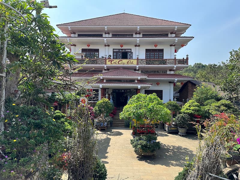 Hình ảnh Trà Cung Đình - 2