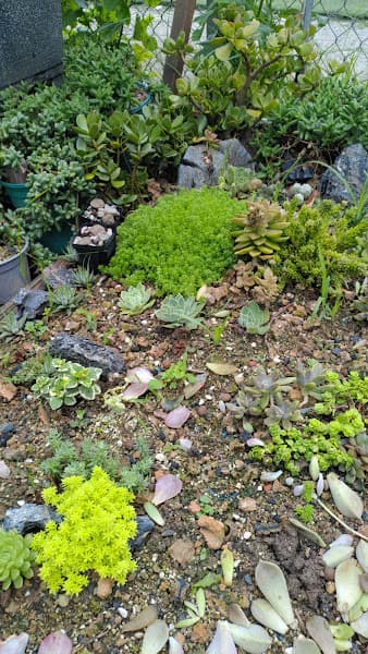 Hình ảnh Vườn Ươm SunShine Cafe - 2