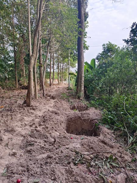 Hình ảnh Di tích lịch sử Năm Trại - 2