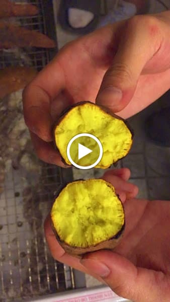 Hình ảnh TeXa Specialty Boba - 3