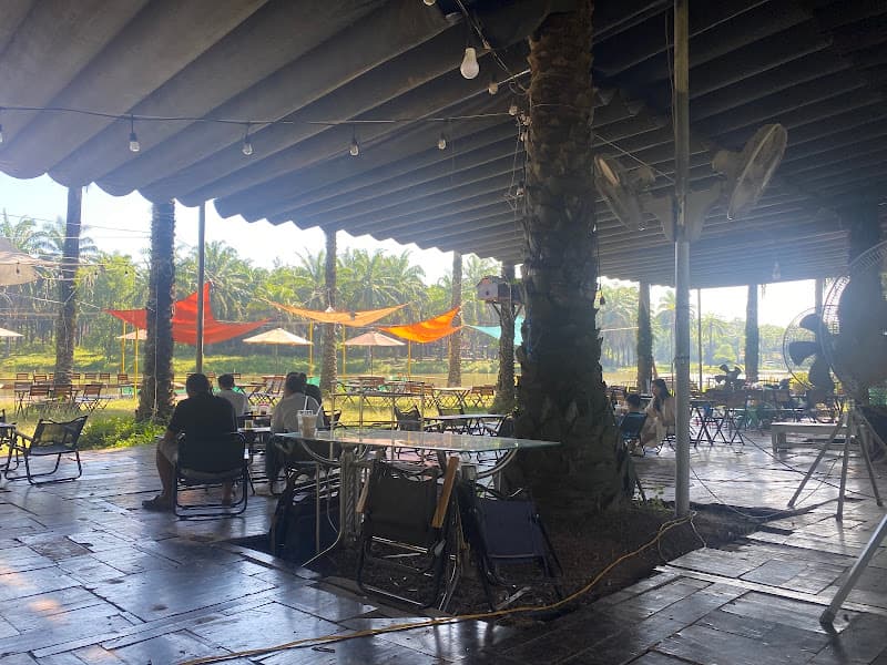 Hình ảnh Cọ cafe-bbq&camlping - 3