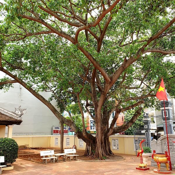 Hình ảnh Đình Lạc Giao - 5