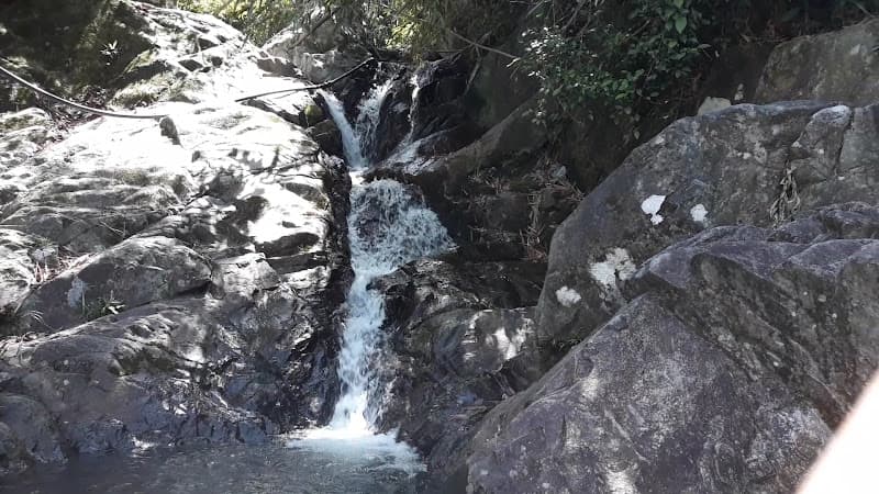 Hình ảnh Vườn Quốc gia Vũ Quang - 5