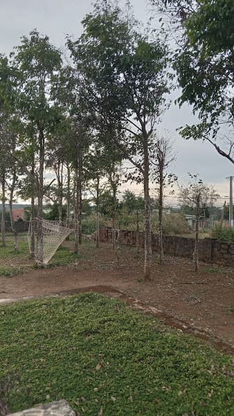 Hình ảnh Di tích lịch sử Bon Cây Xoài - 4