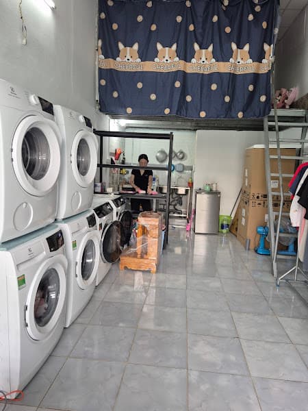 Hình ảnh GIẶT SẤY 1977 - 3