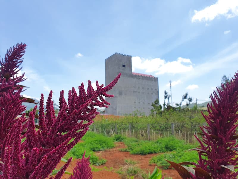 Hình ảnh Nhà Yến Lâm Đồng - 4