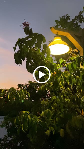 Hình ảnh Tiệm Cà Phê Những Ngày Đã Cũ - 3