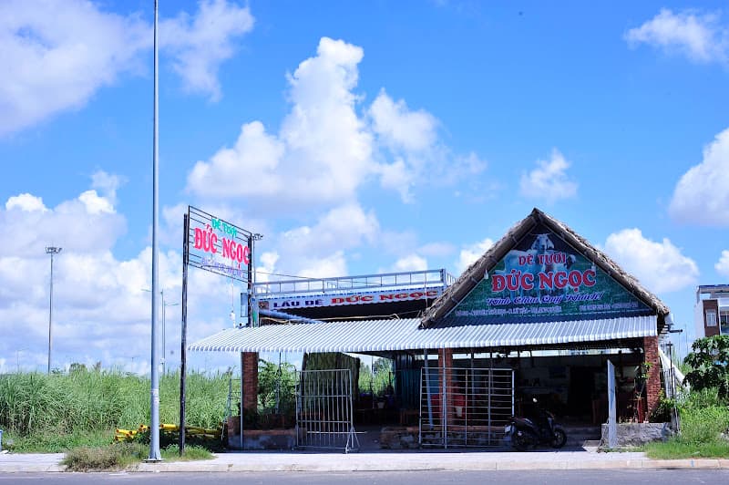 Ảnh bìa DÊ TƯƠI ĐỨC NGỌC