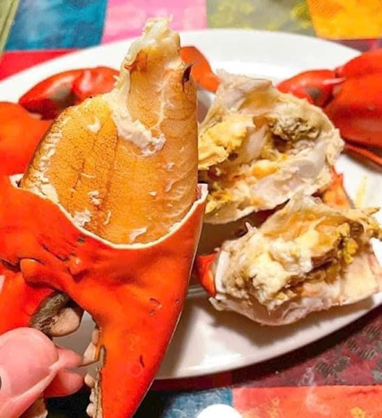 Vựa Hải Sản Cà Mau