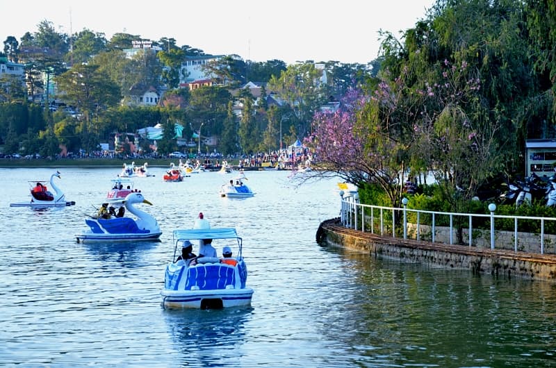 Hình ảnh Cẩm nang du lịch Đà Lạt - 7