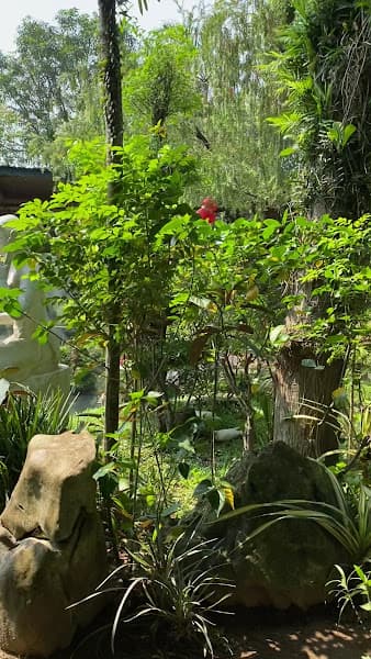 Hình ảnh Café Nhạc Hoa Viên - Huế - 3