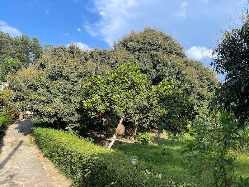 Hình ảnh Đức Giang Pickleball - 5