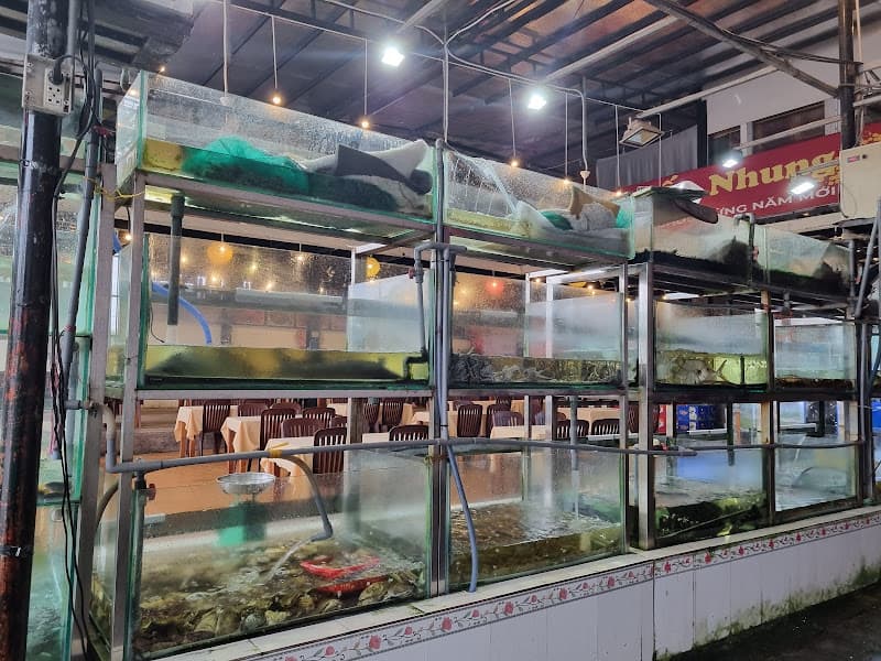 Hình ảnh Nhà Hàng Hải Sản Ốc Nhung - 3