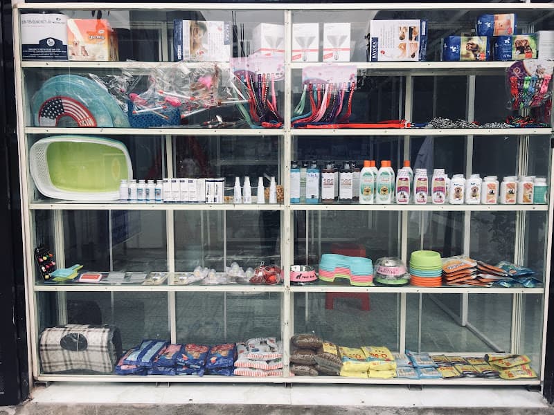 Hình ảnh Phòng khám thú cưng Thanh Hoá- Ths.Bs Ngọc Lan - 5