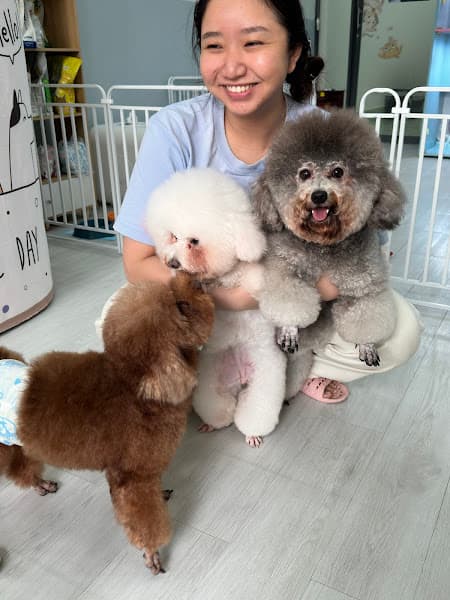 Hình ảnh Dog&Cat - 5